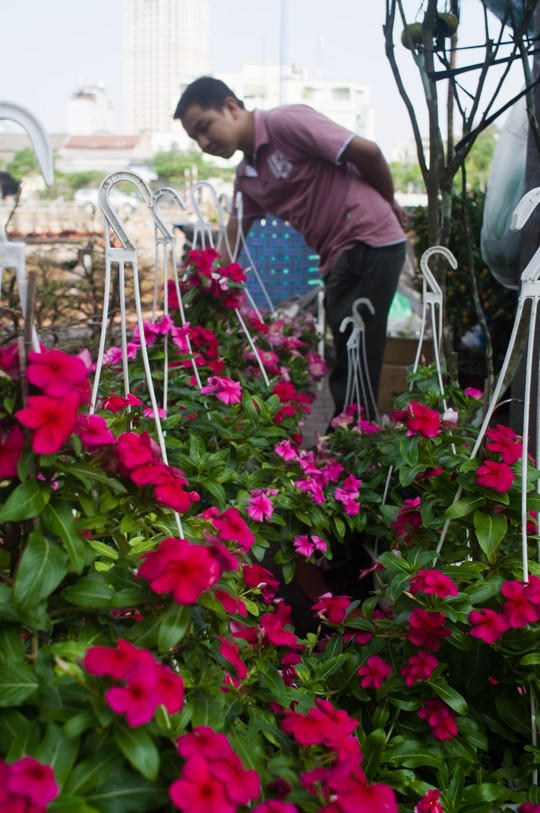 Đi bến Bình Đông rinh Tết về nhà